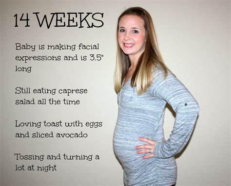Bellies and Babies: Weeks 12, 13, and 14 (Baby #3!)