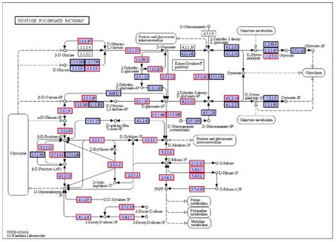 High Concentration Organic Wastewater with High Phosphorus Treatment by ...