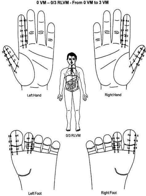 Ayurvedic Accupresure Figures : Acupressure Research, Training and ...