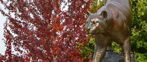 WSU Pullman Admissions | Pullman Campus | Washington State University
