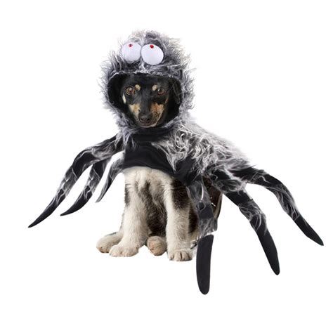 Dog Costume Spider