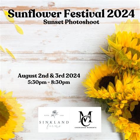 Sinkland Farms Sunflower Festival Sunset Photoshoot, Sinkland Farms ...