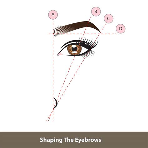Image result for Thread Brow Lift Procedure