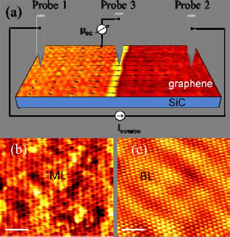 Using STP Device 的图像结果
