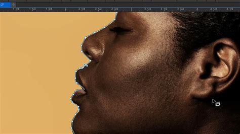 Image result for CorelDRAW 2020 Tracing Tutorials