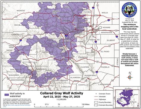 Colorado’s reintroduced wolves tour new counties in latest activity map ...