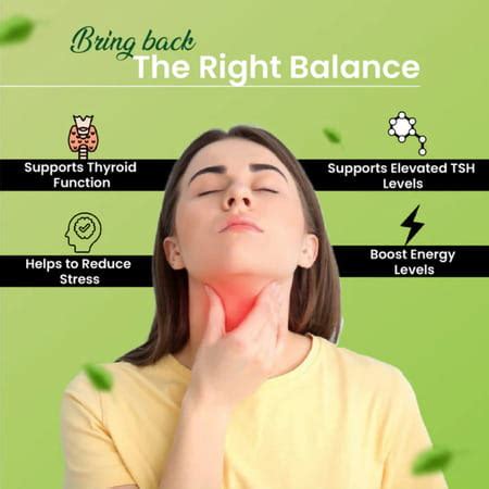 Buy CIPZER THYROCIP | SUPPORTS THYROID HEALTH & HELPS MANAGE ...