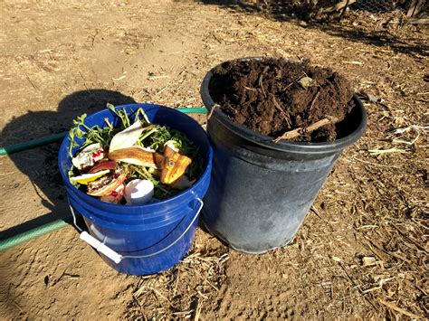 Image result for Simple Composting