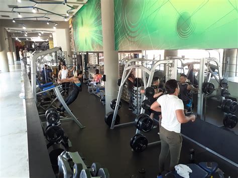 Gerentes de Gold´s Gym: la temporada más gratificante fue abrir después ...