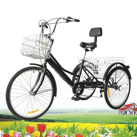 24 Inch Tricycle For Adults With 2 Backet 3 Wheel | Desertcart INDIA