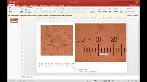 Image result for How to Add Scale Bar On Micrograph