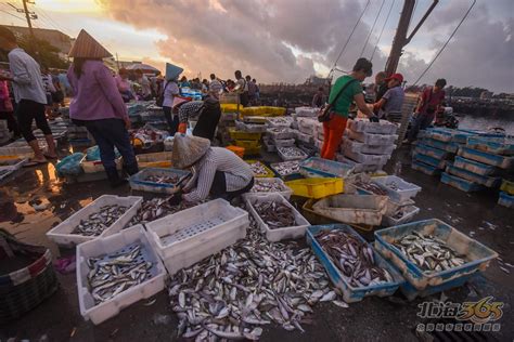 2023枫春海鲜大排档-潮州菜美食餐厅,...地人来到潮州，首先吃到新...【去哪儿攻略】