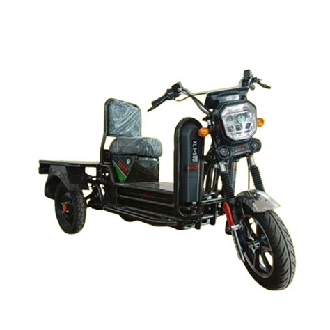 UPCOT SUPER XL 1500 Electric Three Wheeler E Rickshaw/Auto with 2 ...