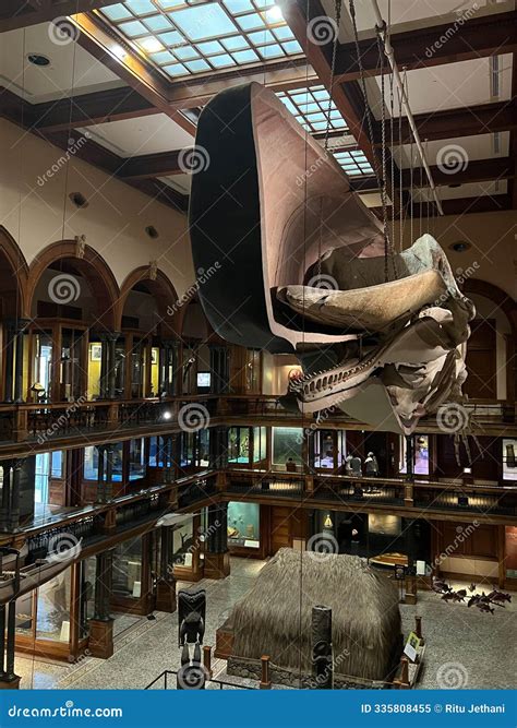 Hawaiian Hall at the Bishop Museum in Honolulu on Oahu, in Hawaii ...