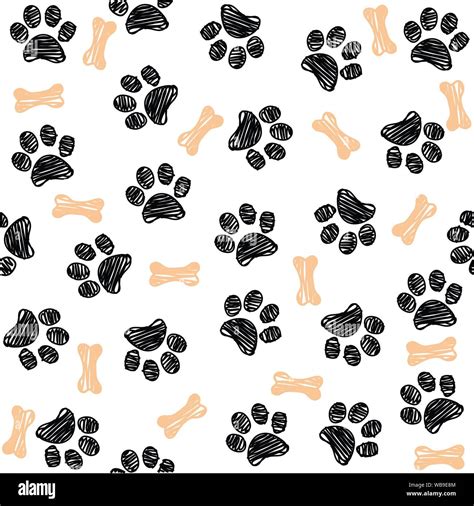 Colorful Paw Prints And Bones