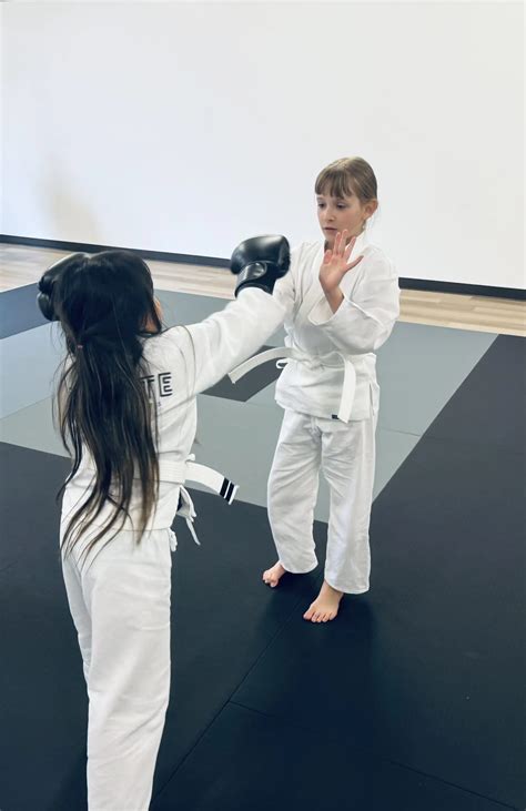 Martial Arts School Near Me in Green Bay | Elevate Martial Arts
