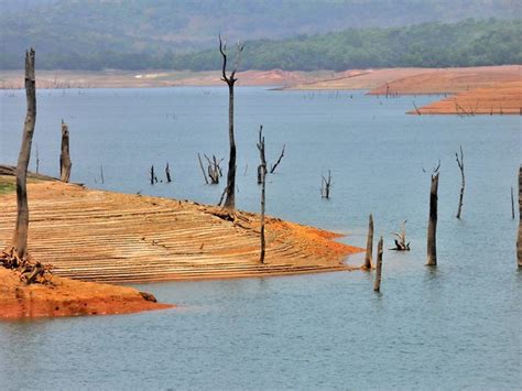 Sigandur - JungleKey.in Image