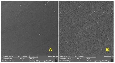 Tribological Behaviour of Enamel Coatings Created by a Prototype Device ...