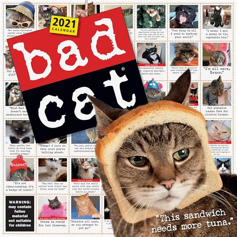 Buy Bad Cat Wall Calendar 2021 Book Online at Low Prices in India | Bad ...