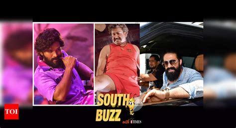 South Buzz: Allu Arjun wraps up Vizag schedule of ‘Pushpa: The Rule ...