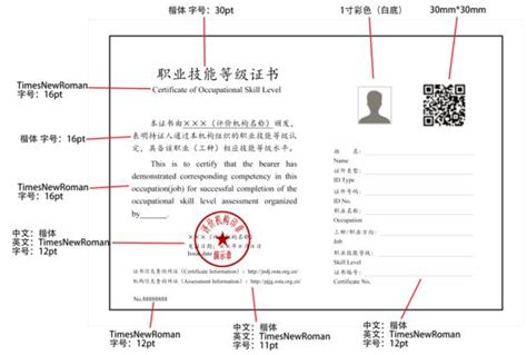 上海人才引进政策中的国家职业资格证书是什么(有哪些职业)-上海落户咨询网