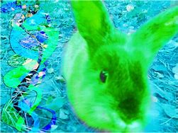 Image result for Bunny with Green Hair