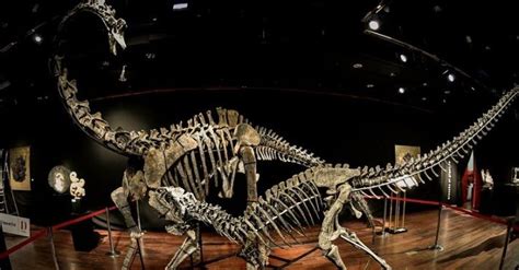 Anonymous Buyer Pays Over $3 Million For Two Dinosaur Skeletons In Paris