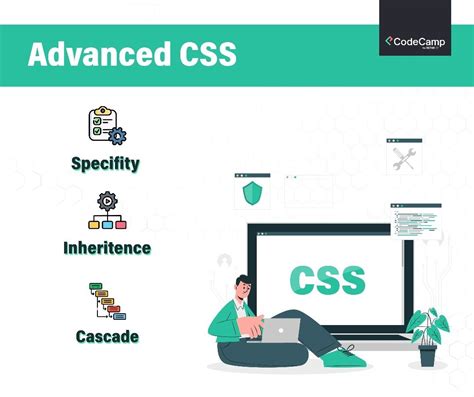 Freecodecamp CSS Class 的图像结果