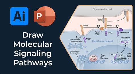 Image result for Science Tips
