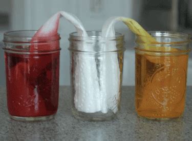 Science CBSE Experiments 的图像结果