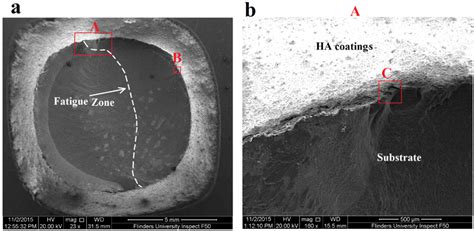 Materials | Special Issue : Surface Modification Methods to Improve ...