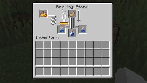 Image result for Minecraft Java Potions