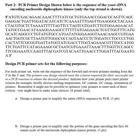 Image result for PCR Primer Example