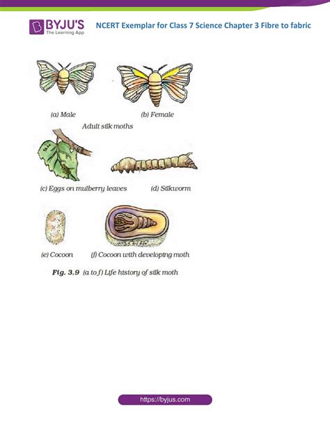 Image result for Class 7 Science Chapter 3