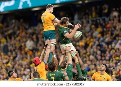 Image result for Springbok Rugby Team