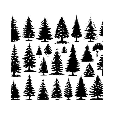 Immagini di Pino - Download gratuiti su Freepik