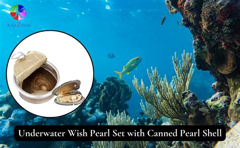 KLIP 2 DEAL Love Pearl DIY Necklace Kit | Wish Set with Canned Pearl ...