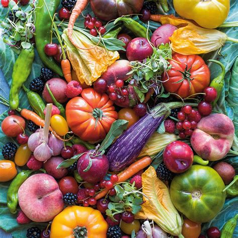 The Best Vegan Cookbooks | Penguin Random House Canada