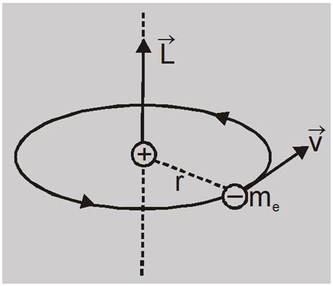 Current loop as a Magnetic Dipole - Magnetism | Class 12th Physics Notes