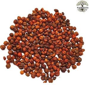 MAXKIA Malkangni Seed Jyotishmati Celastrus 100g seeds Seed Price in ...
