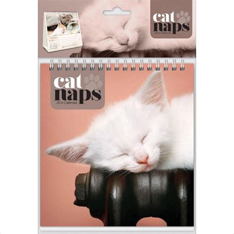 Buy Cat Naps Easel: Desk Calendar (Calendar 2014) Book Online at Low ...