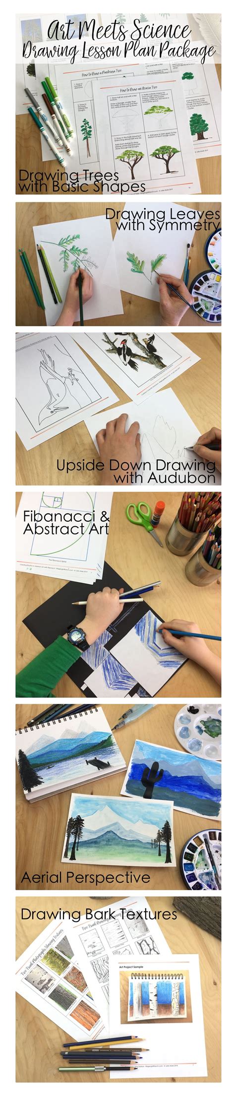 Image result for Basic Art Lesson