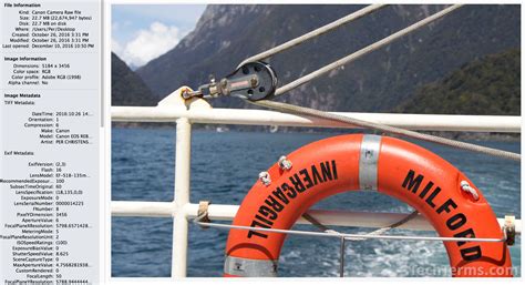 Image result for Raw File Format Digital Camera