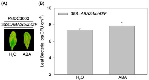 Differential Function of Endogenous and Exogenous Abscisic Acid during ...