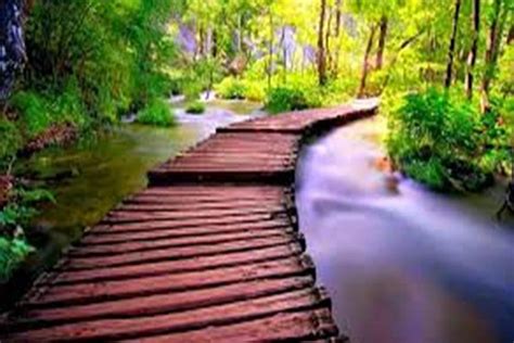 LIBERTY GROUP TRAVEL (2026) All You Need to Know BEFORE You Go (with ...