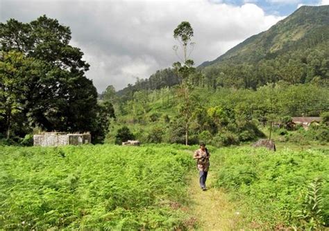 Chinna Kallar Falls (Valparai) - 2021 What to Know Before You Go (with ...