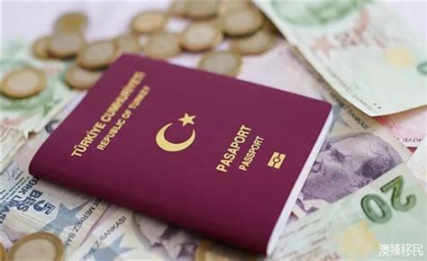 土耳其移民持续火热，这本“功能性护照”到底有哪些用途？ - 澳臻移民