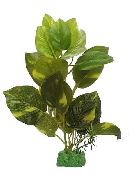 SRI Real Efact Artificial Aquarium Decoration Plant for Create Sea Look ...