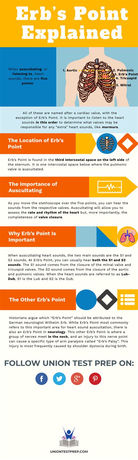 Erb’s Point Explained