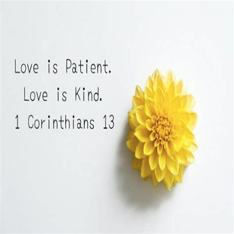 Love is Patient. Love is Kind. Bible Verses on Love: 1 Corinthians 13 ...
